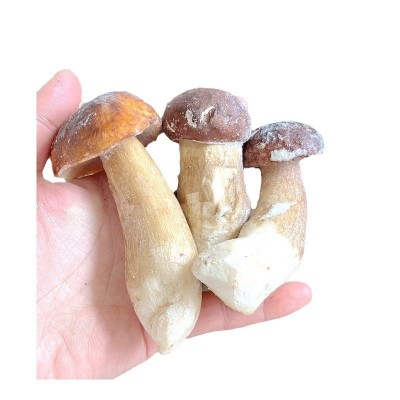 冰鲜冻野生美味牛肝菌精品无虫！云南山珍土特产菌菇火锅香菇一斤2斤图5