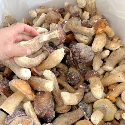 冰鲜冻野生美味牛肝菌精品无虫！云南山珍土特产菌菇火锅香菇一斤2斤图3