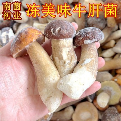 冰鲜冻野生美味牛肝菌精品无虫！云南山珍土特产菌菇火锅香菇一斤2斤