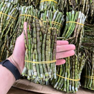 正宗云南铁皮新鲜石斛鲜条现发500g散装正品现货批发新鲜胶质浓郁2件图4