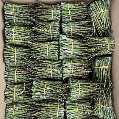 正宗云南铁皮新鲜石斛鲜条现发500g散装正品现货批发新鲜胶质浓郁2件图3