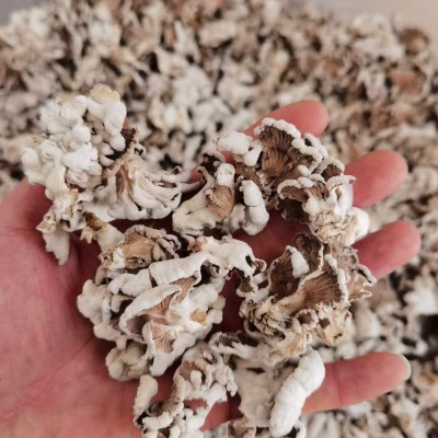 云南白参干货批发包邮干人参生晒参野山参煲汤人参天然食材批发1千克图2