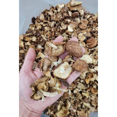 云南野生香菇干货批发包邮天然干香菇高原头茬厚菇量大价优1千克图5