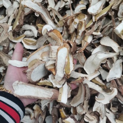 云南美味牛肝菌干货批发包邮人工挑拣大片熬汤菌菇伴手礼产地直发1件图3