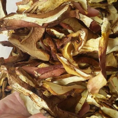云南红葱牛肝菌干货批发见手青尝鲜伴手礼野生菌煲汤菌菇产地直发1件图3