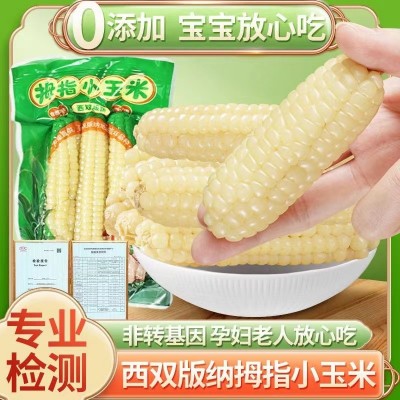 云南西双版纳拇指玉米即食早餐代餐新鲜傣家甜香糯迷你手指小玉米1斤