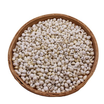 川贝母四川川贝粉正品250g500g批发正宗川贝母干中药材2斤图5