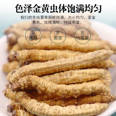 西藏那曲冬虫夏草干货正品头期纯肉大虫草优选10克经济自食补品5g图3