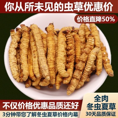 西藏那曲冬虫夏草干货正品头期纯肉大虫草优选10克经济自食补品5g图2