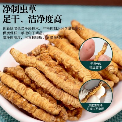 西藏那曲冬虫夏草干货正品头期纯肉大虫草优选10克经济自食补品5g图4