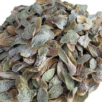 紫皮石斛切片胶质浓郁切片大饱满口感好无苦味自产自销10斤图4
