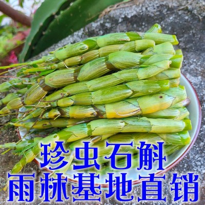 珍虫石斛鲜条梳唇石斛仿野生种植长在茶树上的石斛口感棉甜无渣10斤图2