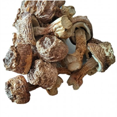 云南特产本色姬松茸干货2斤 巴西菇 汤料包菌菇大货批发一件代发1千克图4
