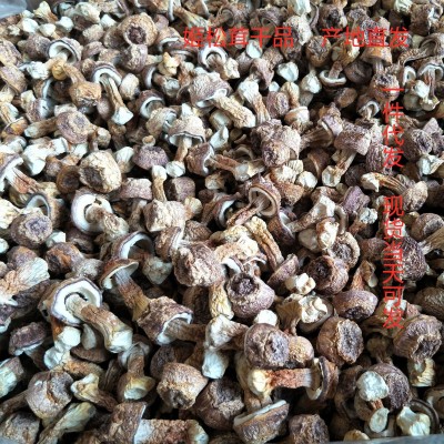 云南特产本色姬松茸干货2斤 巴西菇 汤料包菌菇大货批发一件代发1千克图2