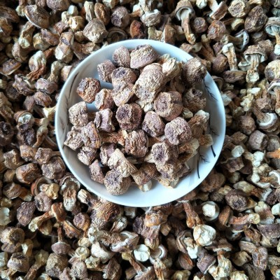 云南特产本色姬松茸干货2斤 巴西菇 汤料包菌菇大货批发一件代发1千克图5