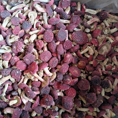正红菇干货 武夷山红菇 菇丁月子红菇红椎菌干品煲汤食材批发1件图4