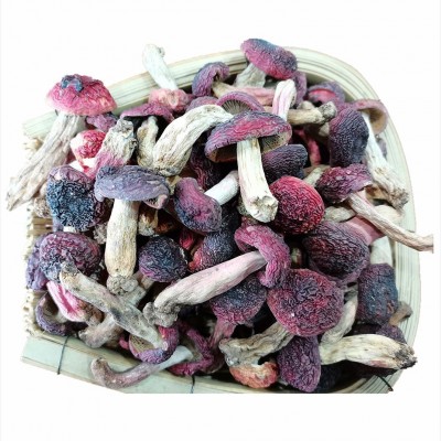 正红菇干货 武夷山红菇 菇丁月子红菇红椎菌干品煲汤食材批发1件图5