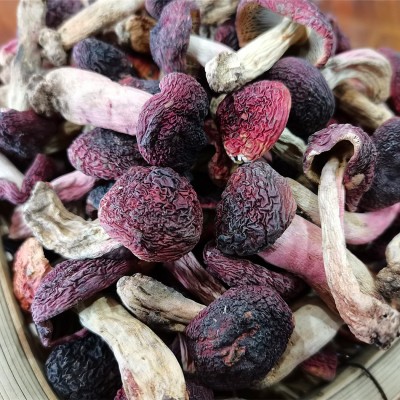 正红菇干货 武夷山红菇 菇丁月子红菇红椎菌干品煲汤食材批发1件图3
