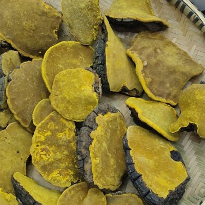 桑黄 桑树桑黄 西藏桑树桑黄 量大从优 上等桑黄 西藏特产       1件图3