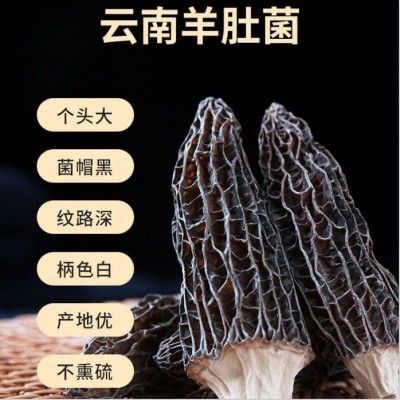 羊肚菌干货 七彩菌菇汤料包可食用菌袋装炖汤食 集农园      1袋