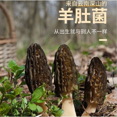 羊肚菌干货 七彩菌菇汤料包可食用菌袋装炖汤食 集农园      1袋图4