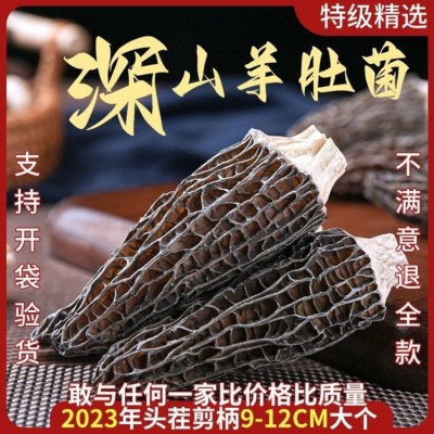 羊肚菌干货 七彩菌菇汤料包可食用菌袋装炖汤食 集农园      1袋图3