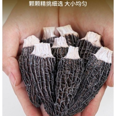 羊肚菌干货 七彩菌菇汤料包可食用菌袋装炖汤食 集农园      1袋图5