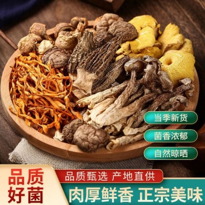松茸菌汤包 鲜香浓郁 菌体肥嫩 朵大完整 香味浓郁 滇茸      1袋图2