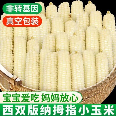 云南西双版纳拇指玉米新鲜手指小玉米迷你现摘甜白糯宝宝孕妇玉米     1斤图2