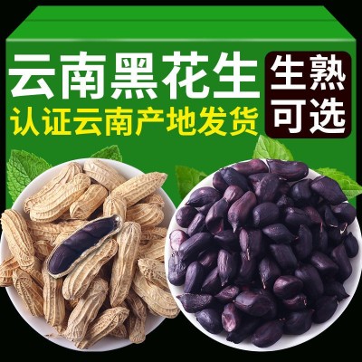 普洱特产云南新货黑花生原味带壳生熟可选零售批发老品种黑皮花生     1袋