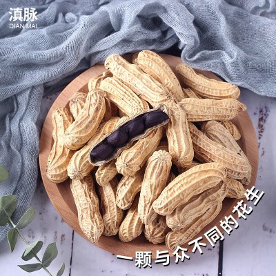 普洱特产云南新货黑花生原味带壳生熟可选零售批发老品种黑皮花生     1袋图4