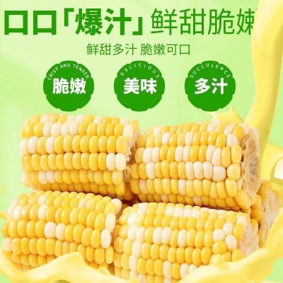 云南即食水果玉米甜糯真空包装小段新鲜免煮早餐代餐学生宿舍零食    1箱图4
