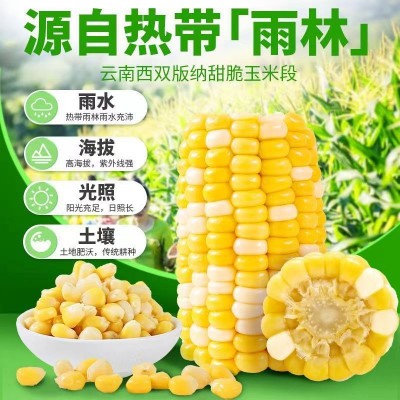 云南即食水果玉米甜糯真空包装小段新鲜免煮早餐代餐学生宿舍零食    1箱图3