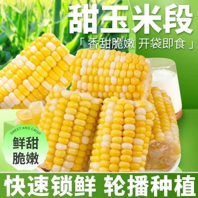 云南即食水果玉米甜糯真空包装小段新鲜免煮早餐代餐学生宿舍零食    1箱图2