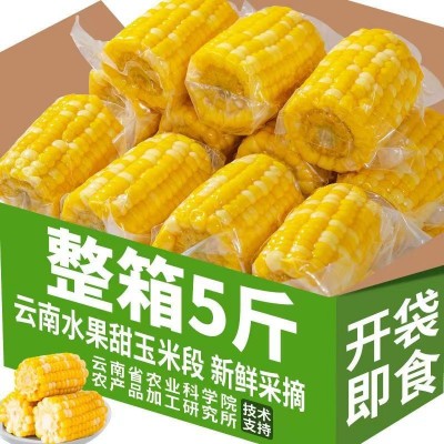 云南即食水果玉米甜糯真空包装小段新鲜免煮早餐代餐学生宿舍零食    1箱