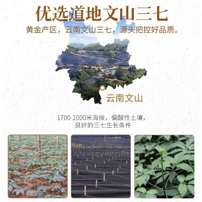 云南采泽精选正宗云南文山优质三七研磨粉罐装1瓶图4