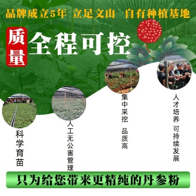 丹参粉云南文山丹参紫丹参代磨粉250克无硫磺熏染正品丹参1份图4