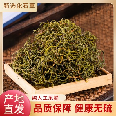 化石草 肾精茶 结石草 化石茶 肾精草嗷嗷叫 去石草1袋
