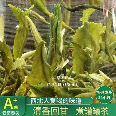 2024年云南春尖茶叶兰州清茶甘肃天水陇南煮罐罐茶浓香绿AA类1斤图5