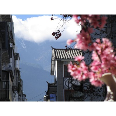 暖阳·榻榻米大床房（芝华仕床垫+恒温护发负离子吹风机）图4