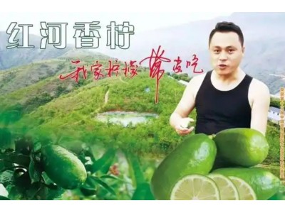 云南省871个品牌入选“绿色云品”品牌目录