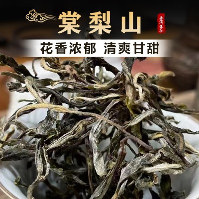 棠梨山普洱茶生茶云南临沧古树茶叶生普大叶种茶口粮茶厂家批发1斤