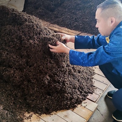 益壶春茶叶批发 云南普洱熟茶2019年昔归357克大师精制纯料熟茶1饼图4