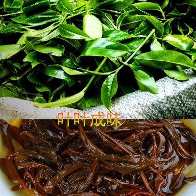 益壶春茶叶批发工厂 山野红茶古树300百年古树云茶1件图3