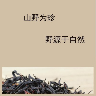 益壶春茶叶批发工厂 山野红茶古树300百年古树云茶1件图5