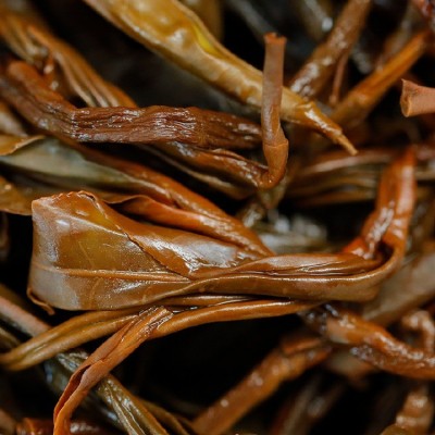 云南野生晒青红茶 2024年头春古树红茶云南古树晒青红茶一件代发1罐图3