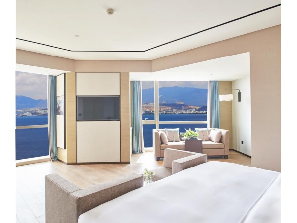 雅致海景轻奢房