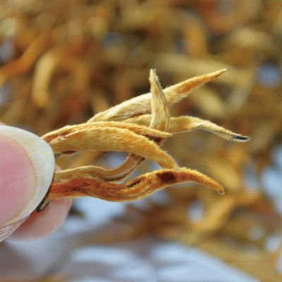 云南滇红自产自销滇红茶金芽蜜香单芽高香250克现货散装红茶批发1袋图3