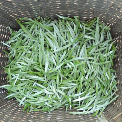 云南红茶散装自产自销蜜香金芽清香型滇红茶500克现货滇红批发1斤图3