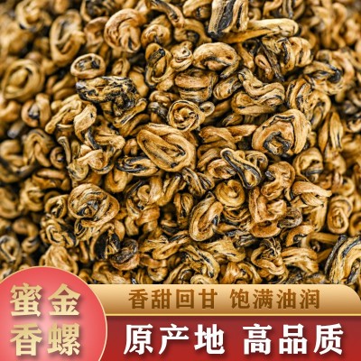 2024年红茶云南凤庆大师制滇红茶批发 滇红蜜香金螺500克 散装茶叶1斤